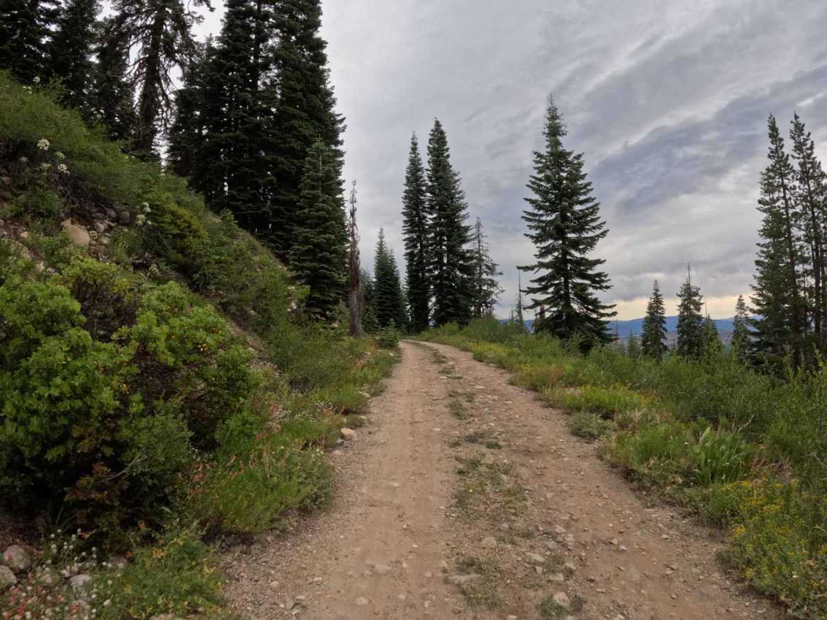 Mohawk Chapman Road - FS 22N98 trail photo