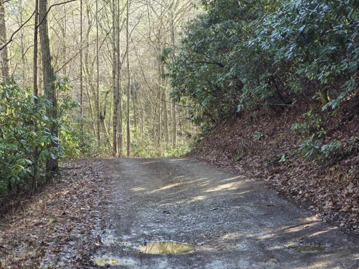 Gentry Creek photo 5