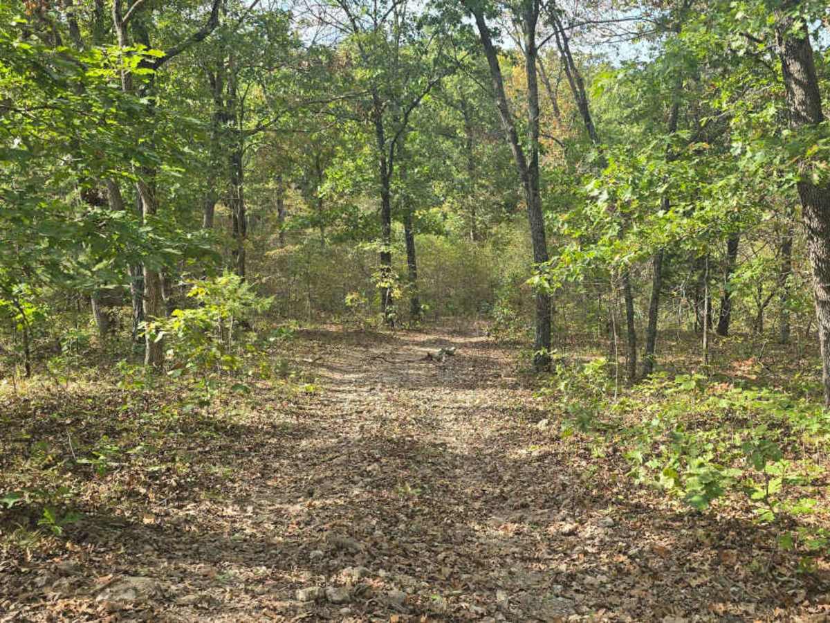 Rocky Ravine trail photo
