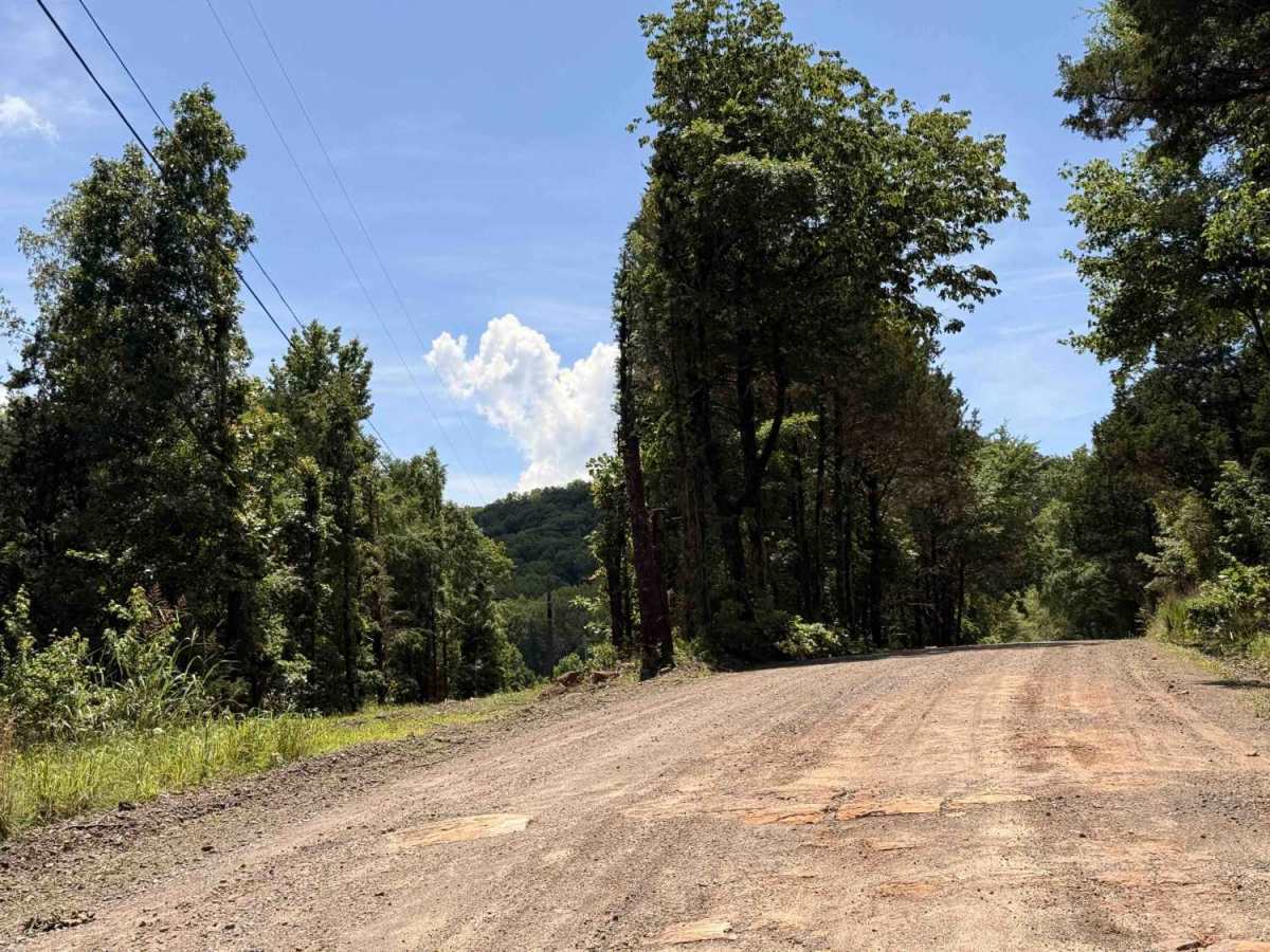 Rackley Mountain Road photo 3