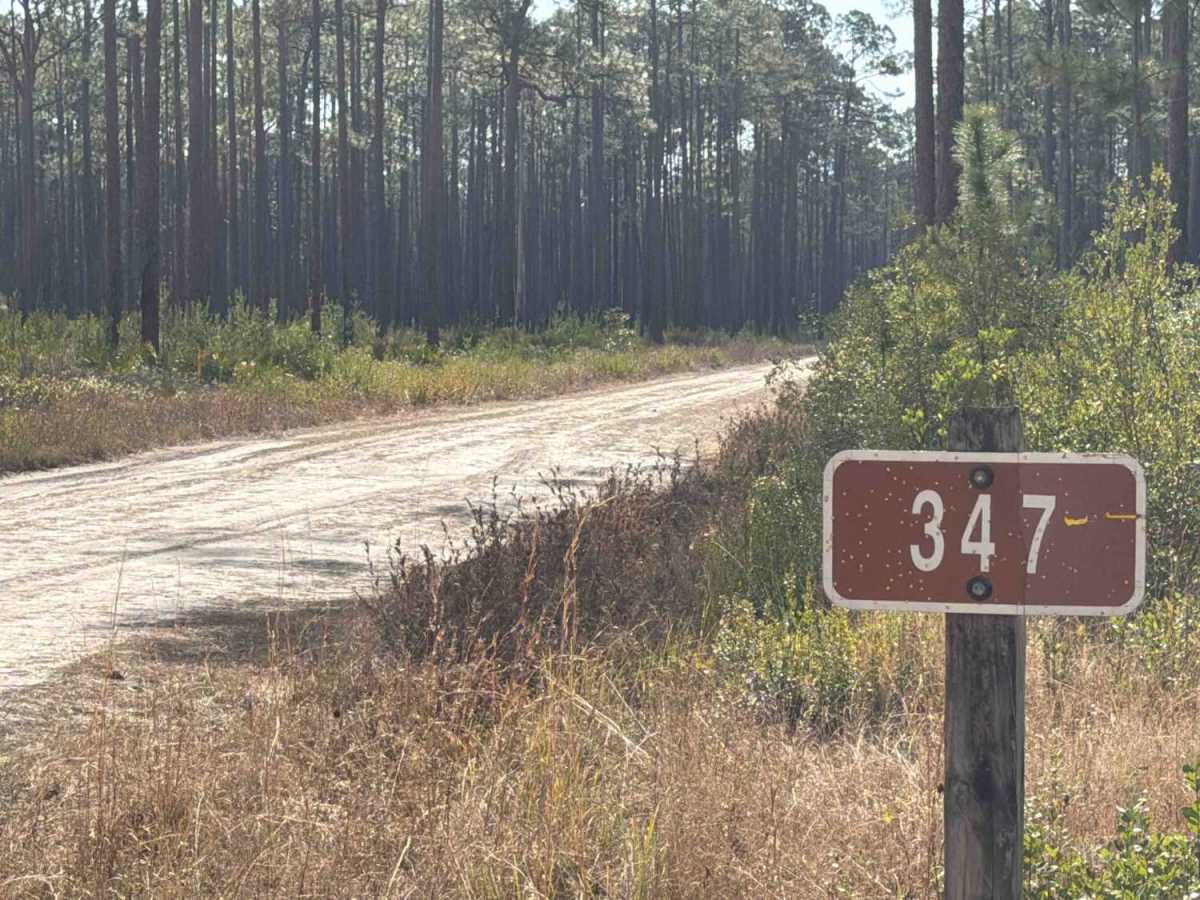Westbank - FS 347 photo 4