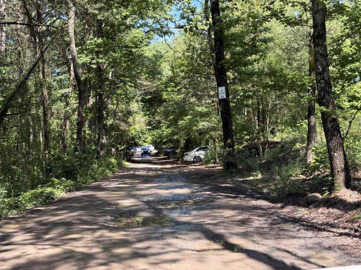 Upper Lee Creek Trail photo 2