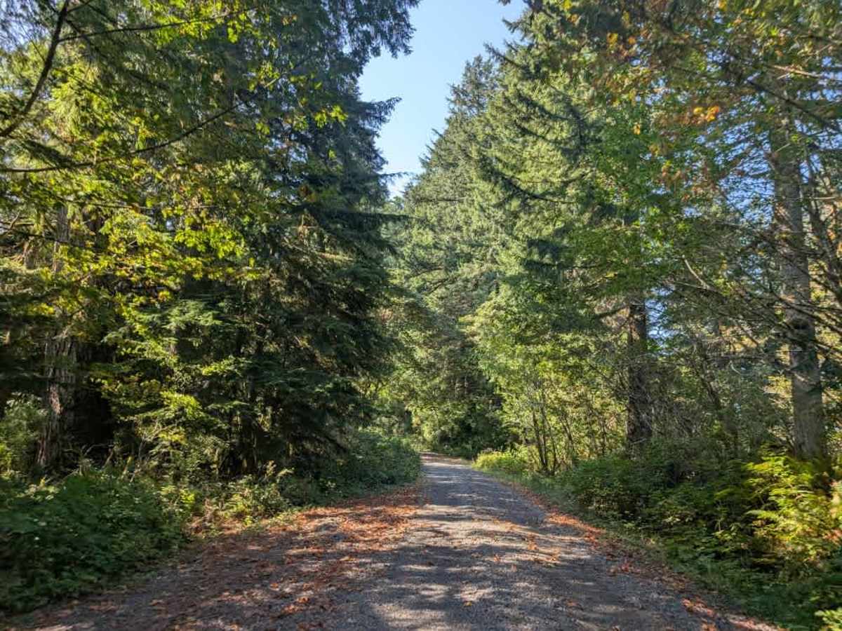 FS 2500000 trail photo