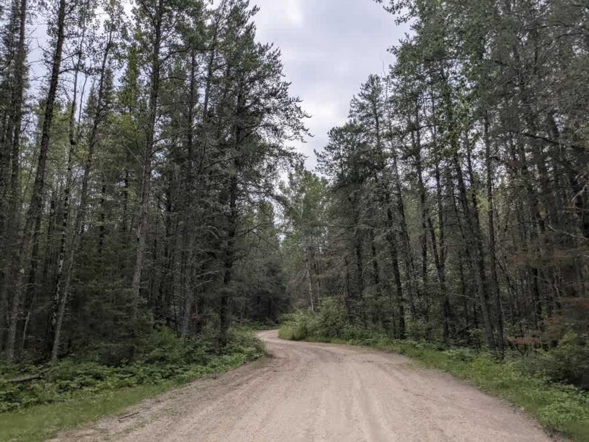 Johnson Lake photo 4