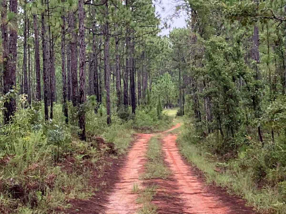 S68 trail photo