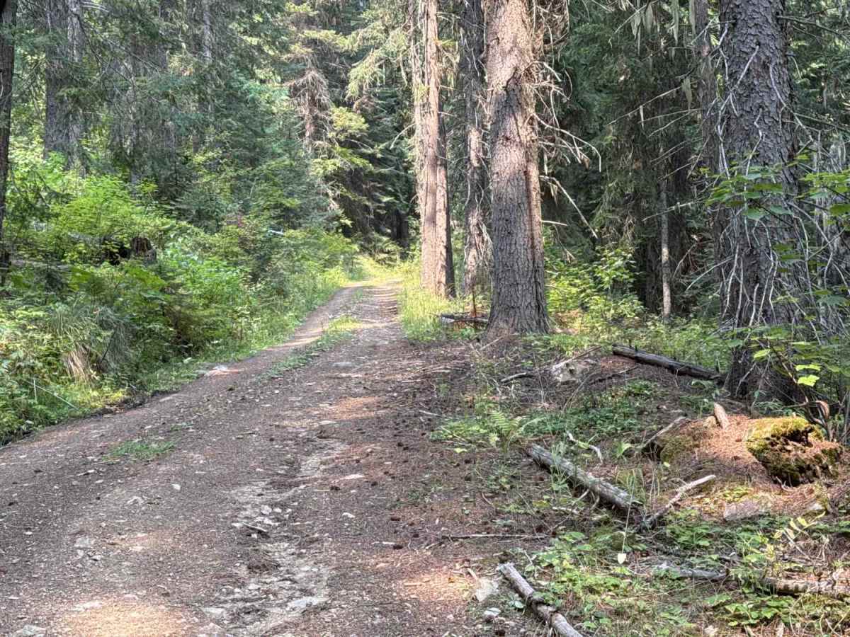 4W-7829 - Mink Peak Jeep Trail photo 2