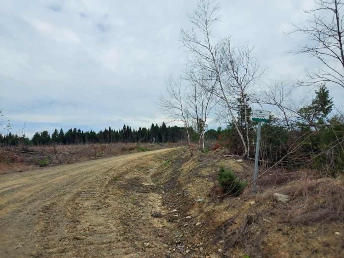 Cut Off Road trail photo