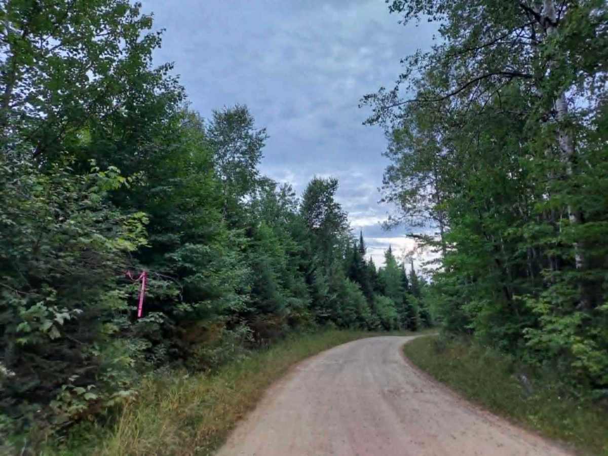 Truck Trail 3 trail photo