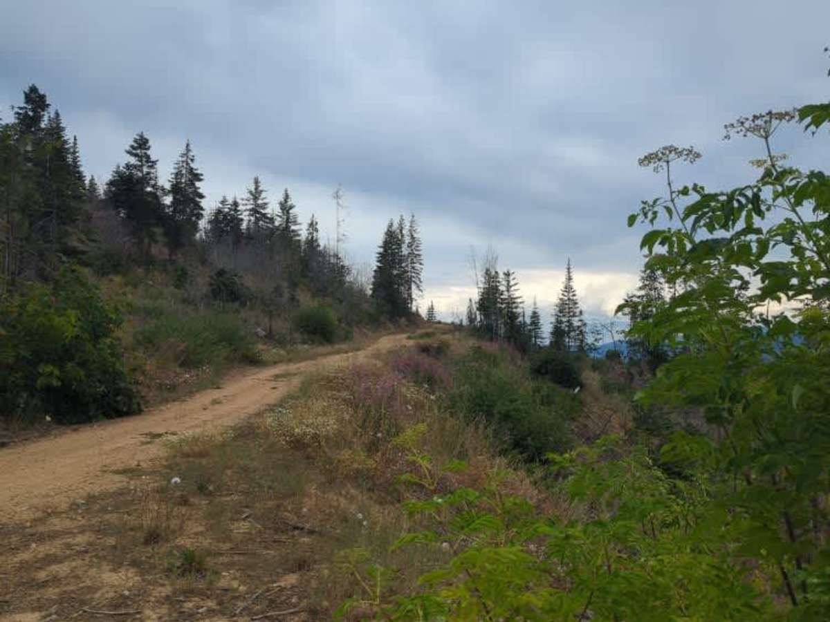 West Railroad Canyon - North photo 4