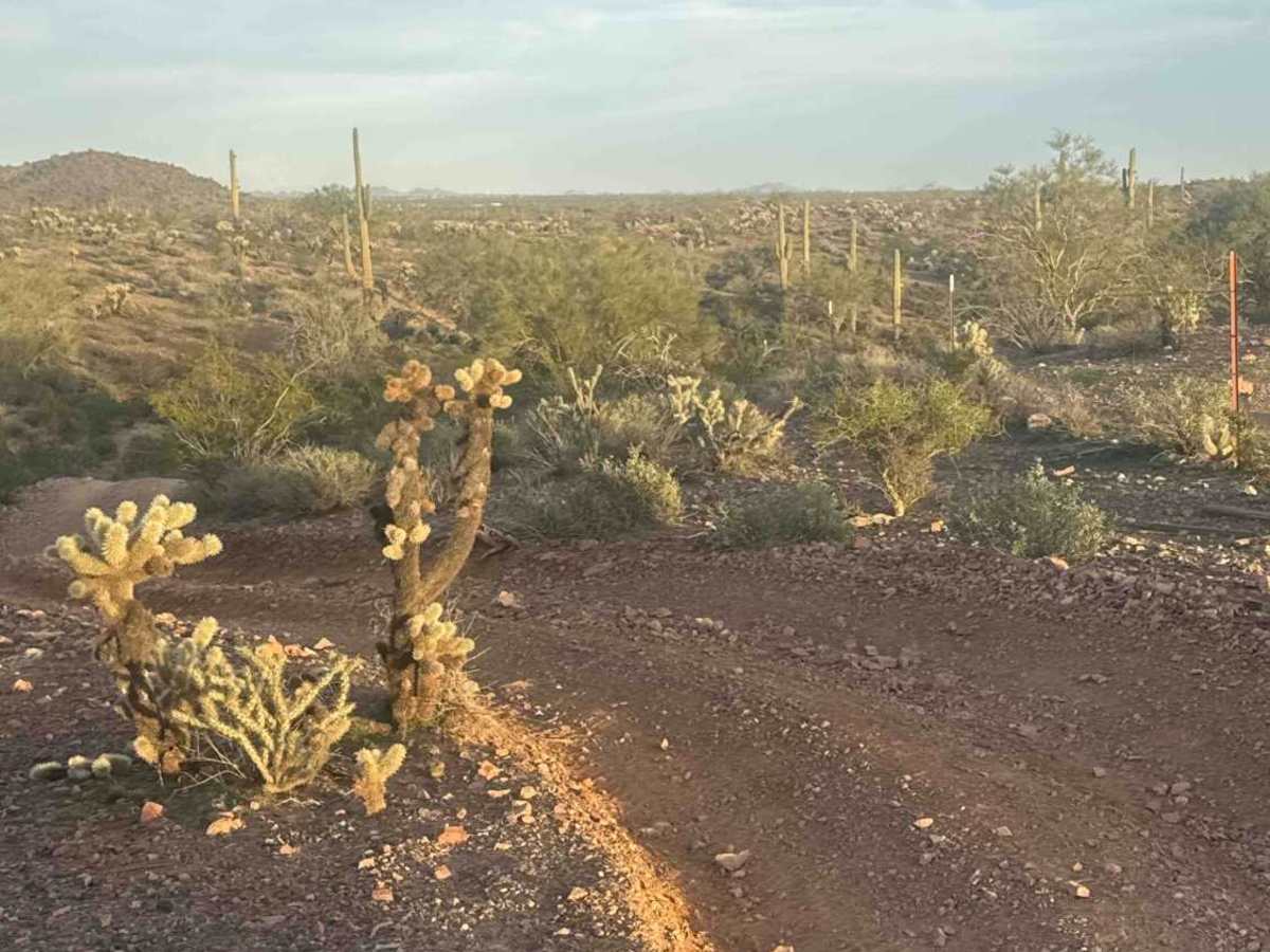 Fence Line Drop In  trail photo
