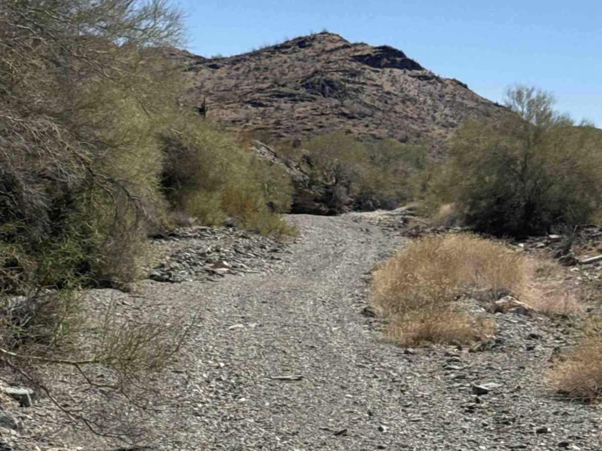 Waterfall Wash  photo 3