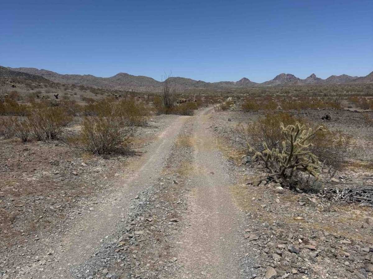 Hs56m trail photo