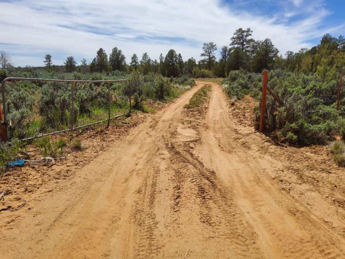 BLM 74  photo 2