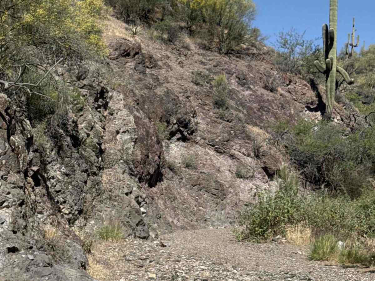 Black Butte Wash photo 6