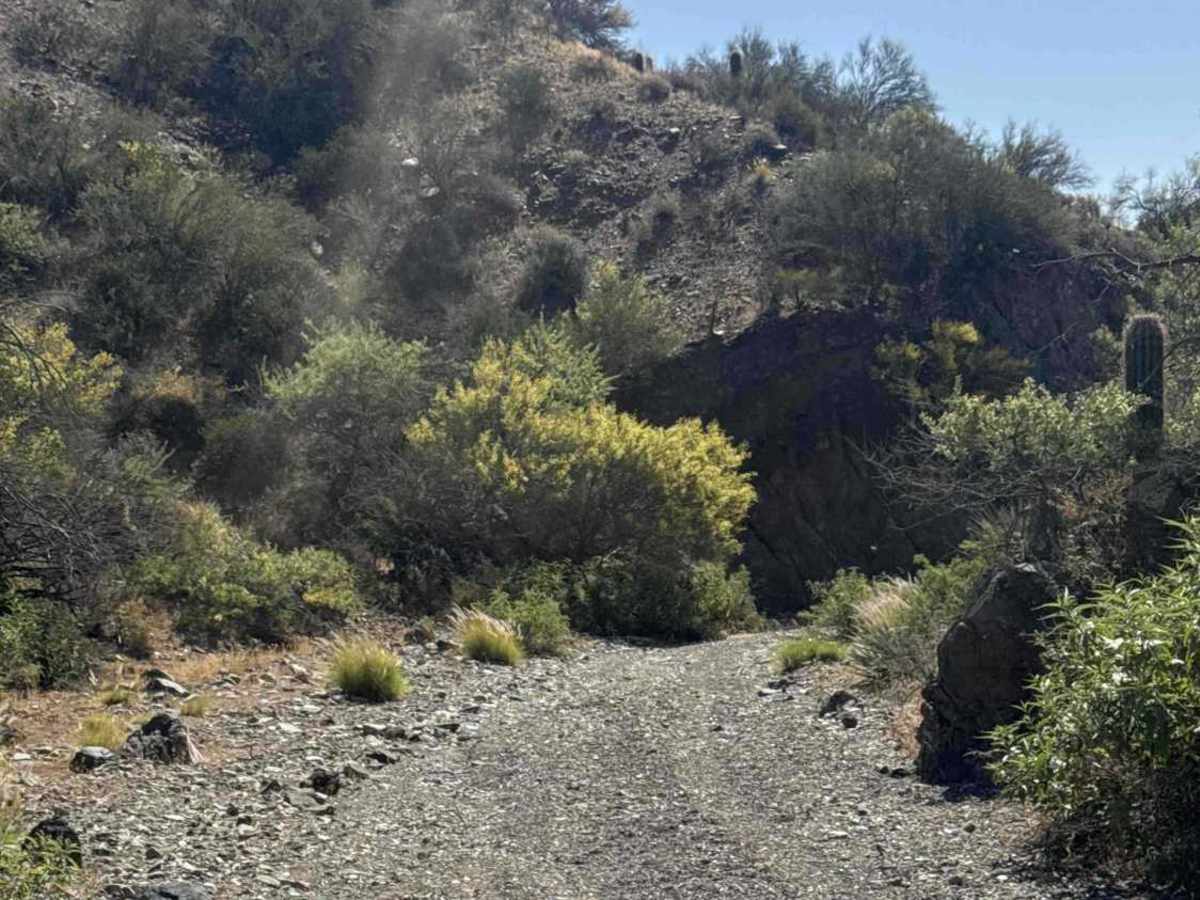 Black Butte Wash trail photo