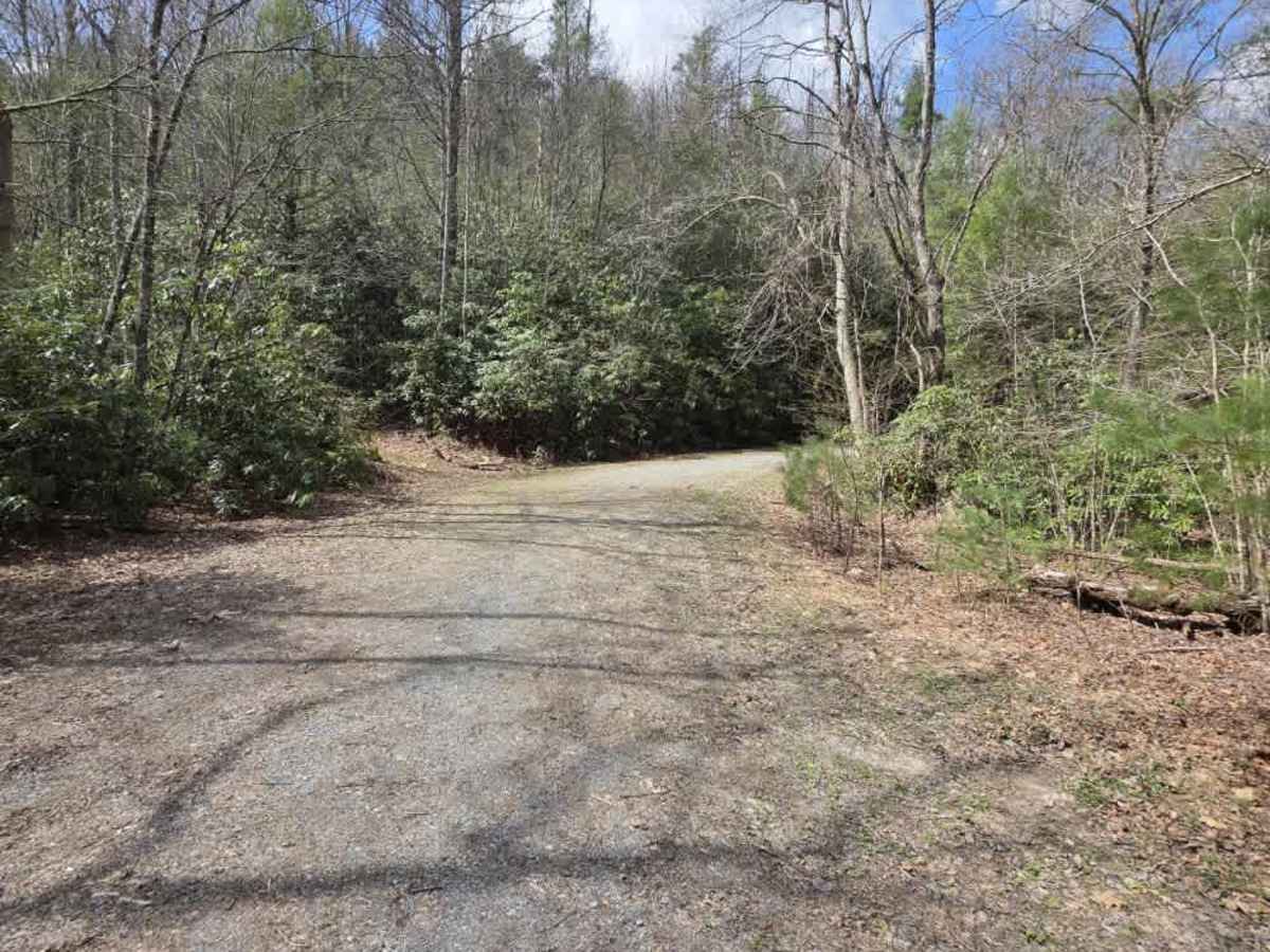 Rocky Branch Road photo 2