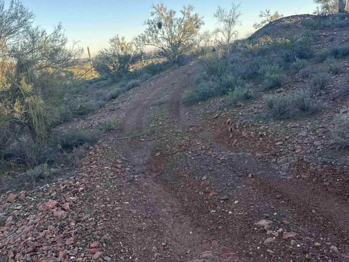 Cholla Fields  trail photo