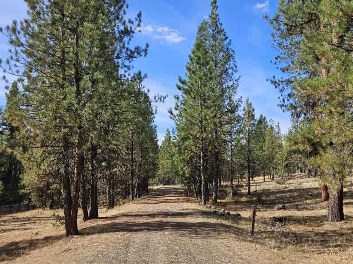 FS 5830400 trail photo