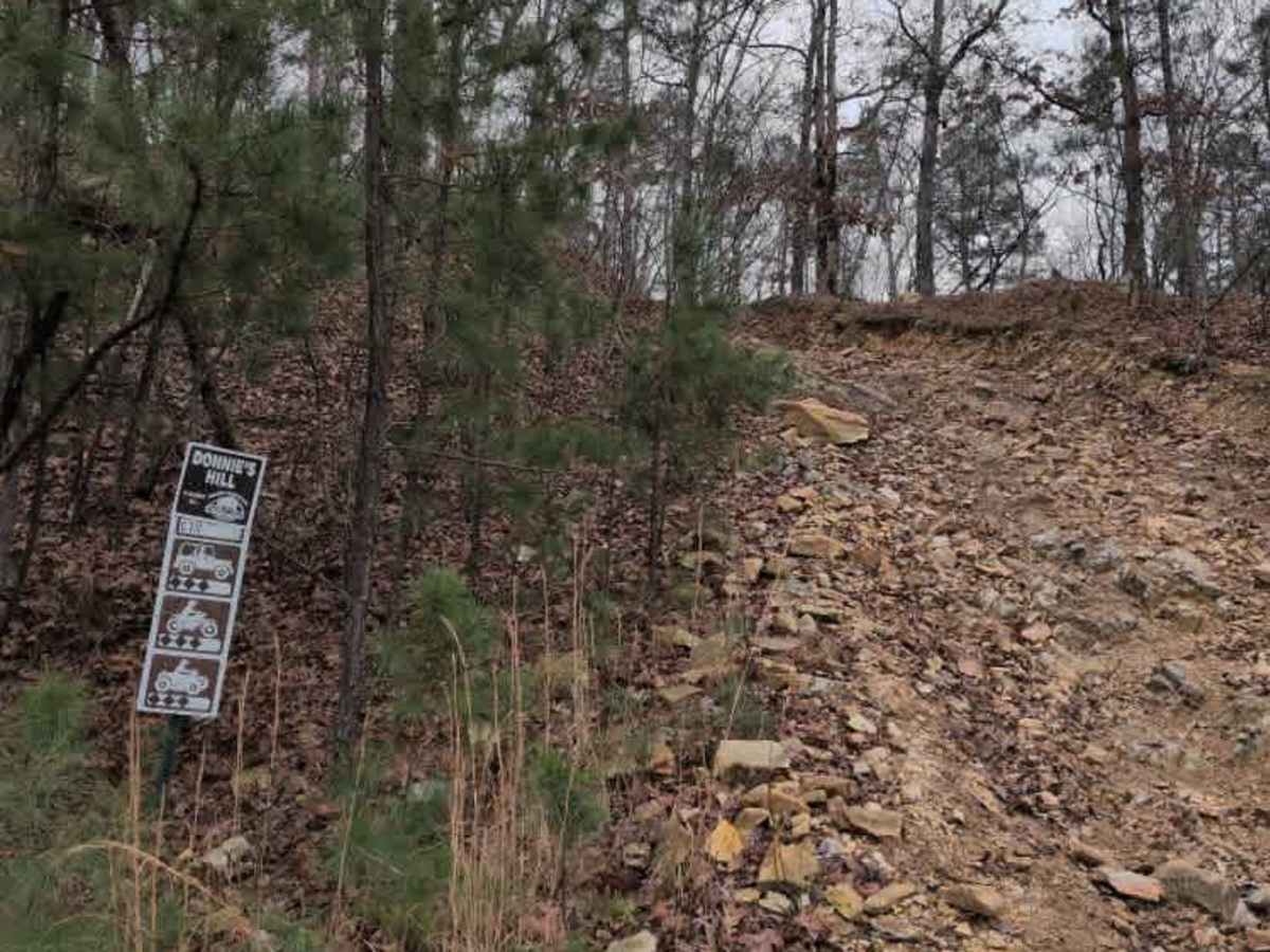 C10 Donnie's Hill (Top) trail photo