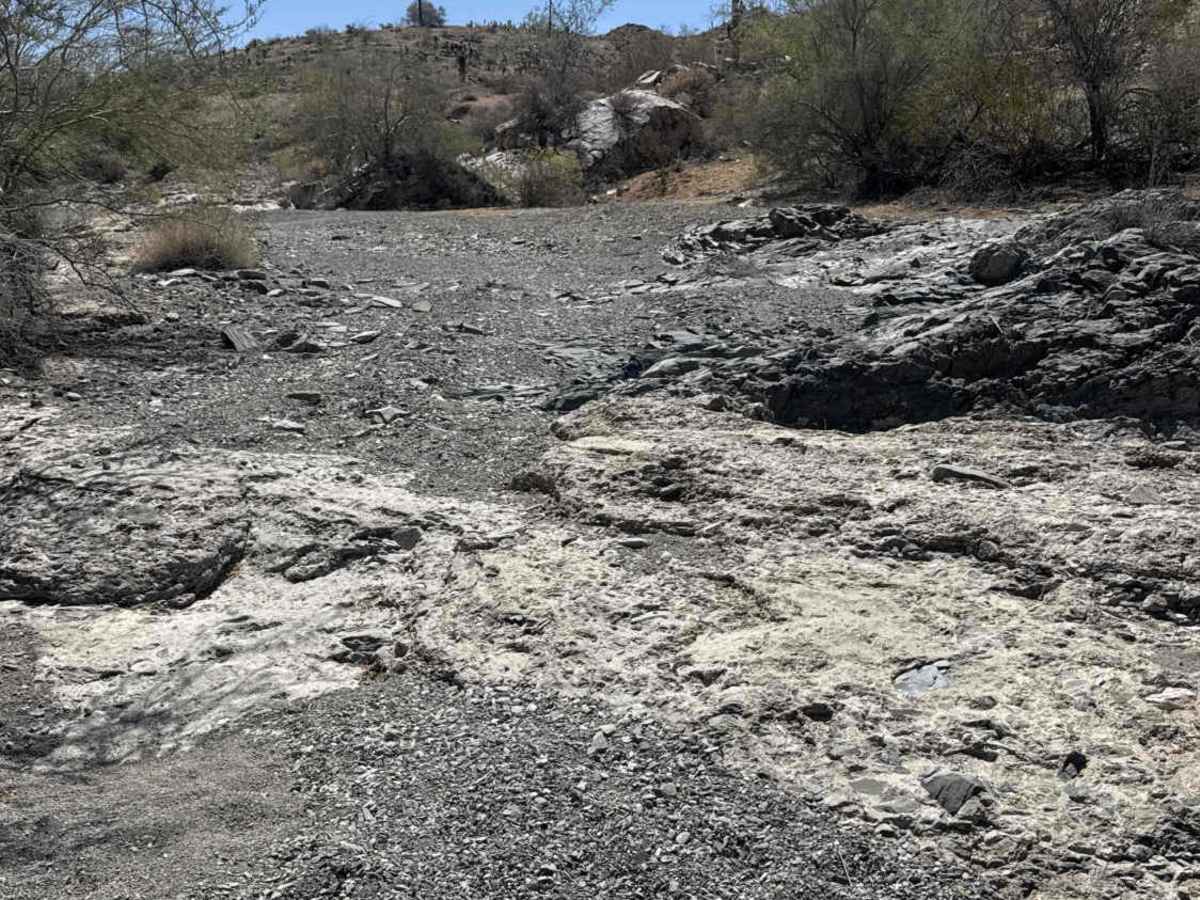 Waterfall Wash  photo 4