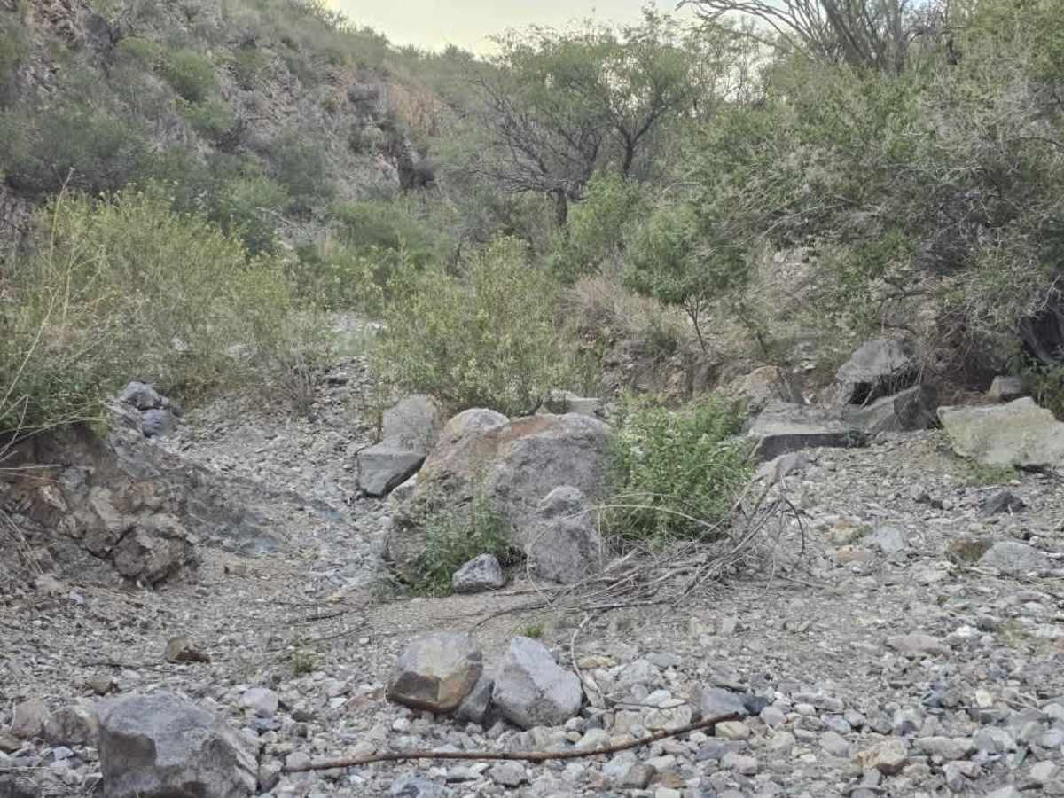 Proctor Trail trail photo