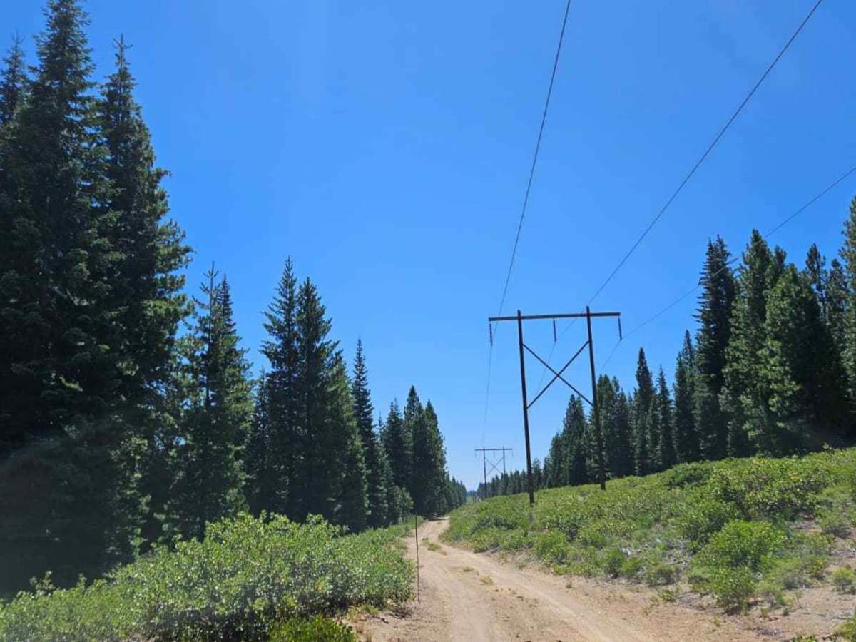 Powerline Road photo 4
