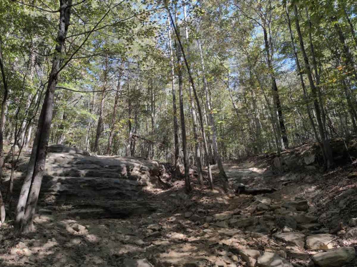 #140 Ed's Ledge trail photo