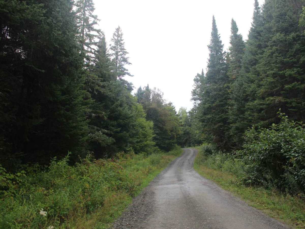 Perry Stream Road photo 2