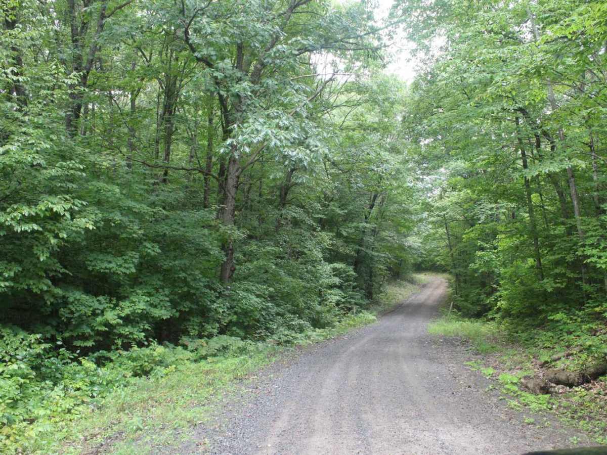Otter Creek Trail photo 4