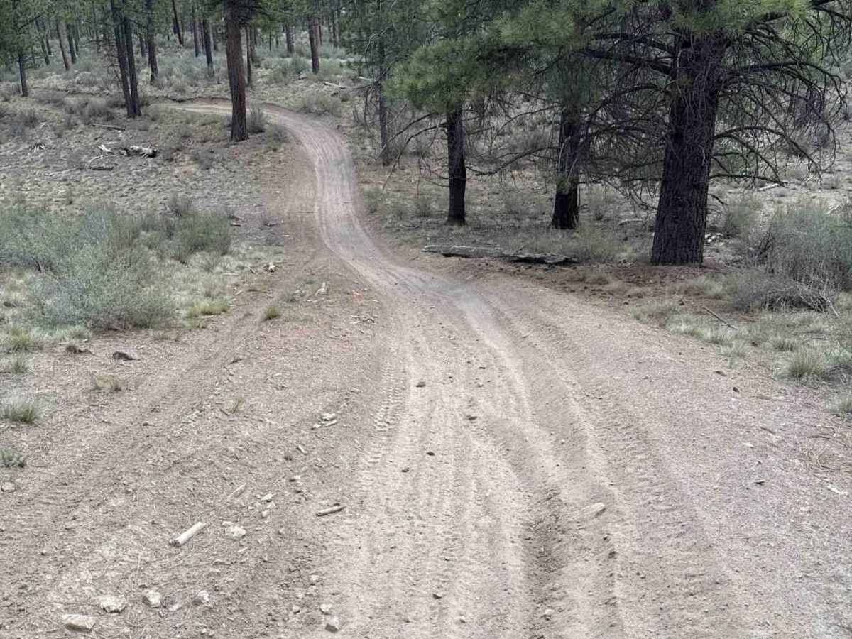 East Fort Rock - OHV Trail 40 trail photo