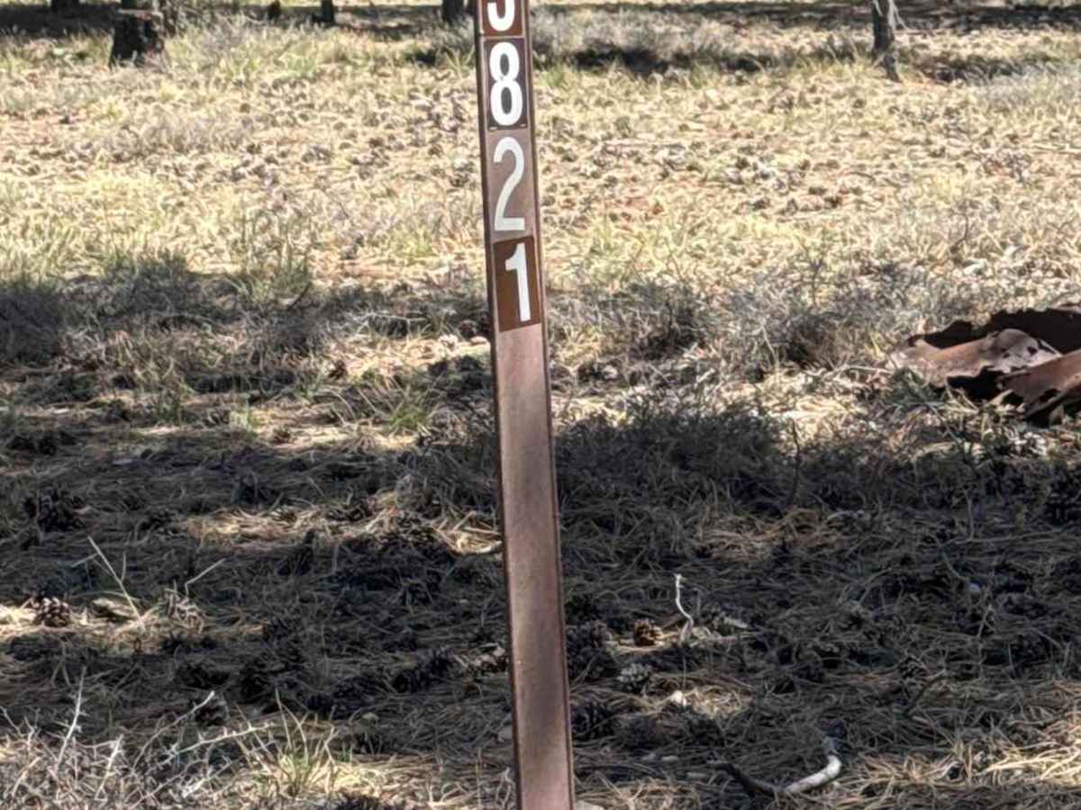 FS 3821 trail photo