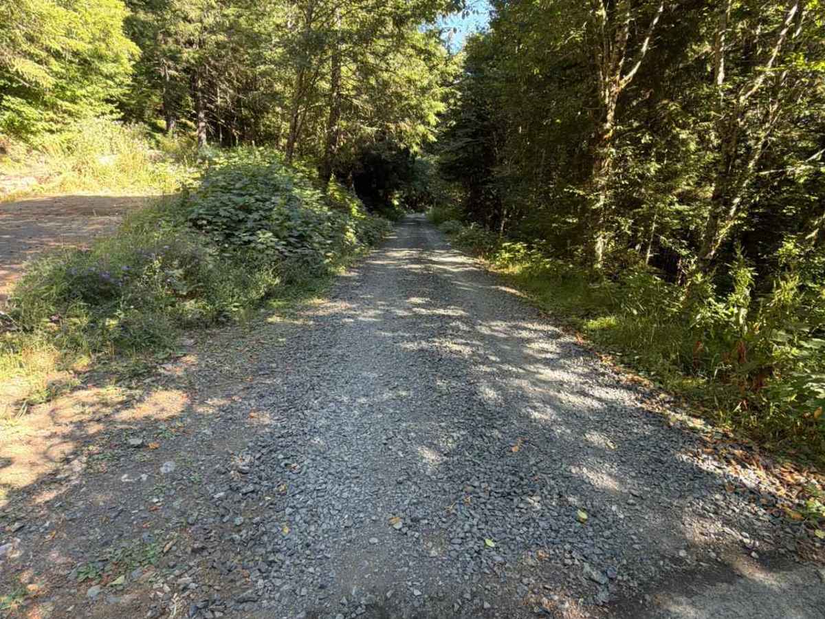 Upper Neal Creek Road photo 3