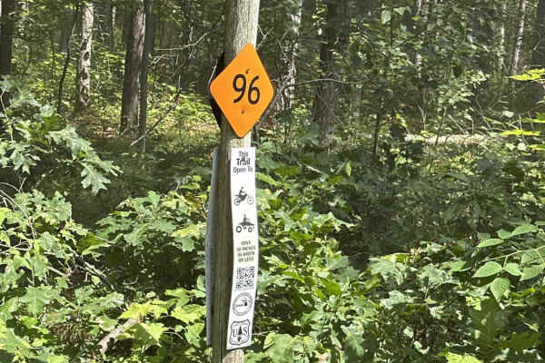 Alcona H7