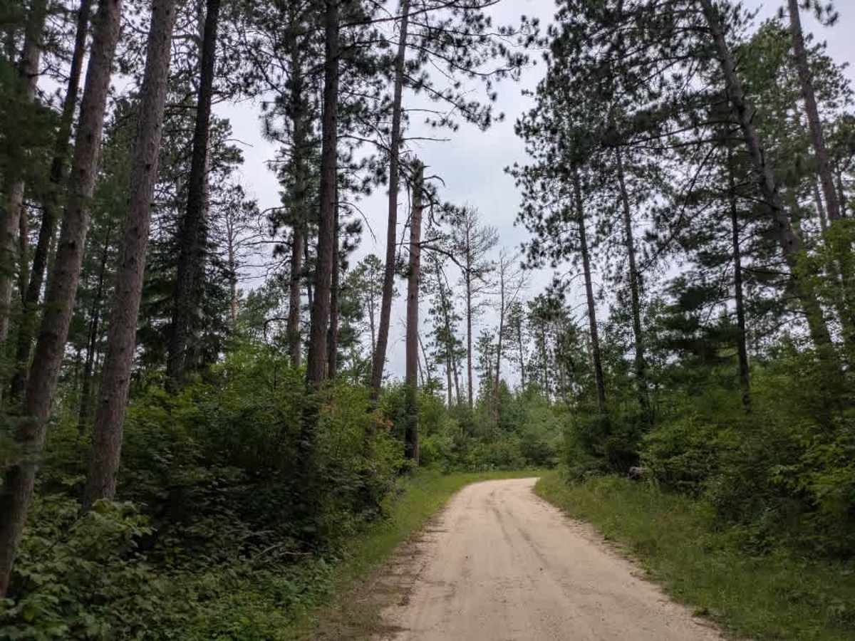 Bayview Loop trail photo