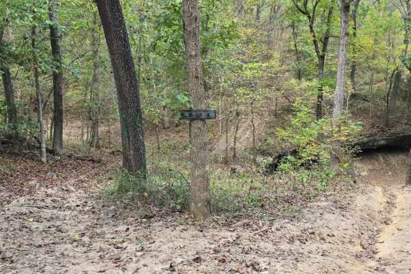 Hungover Trail