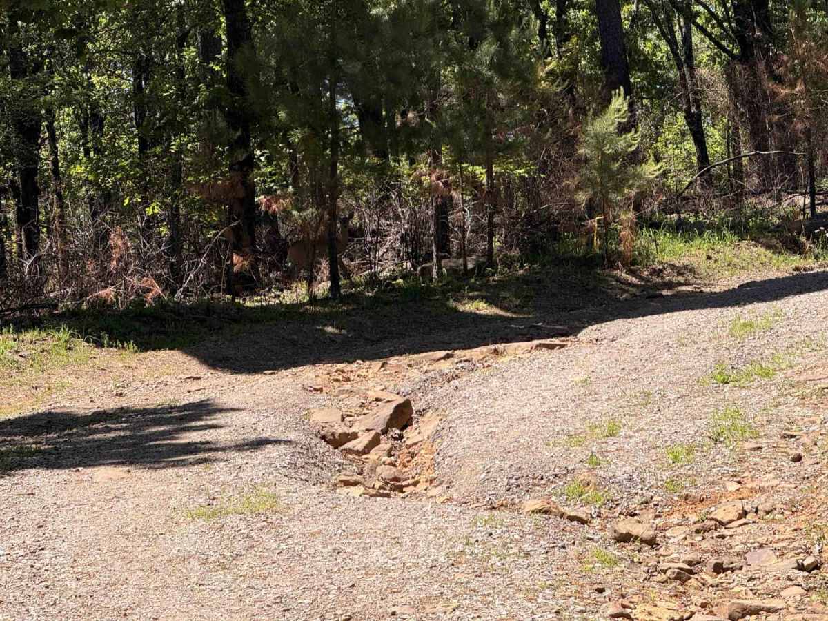 Elmo Creek photo 6