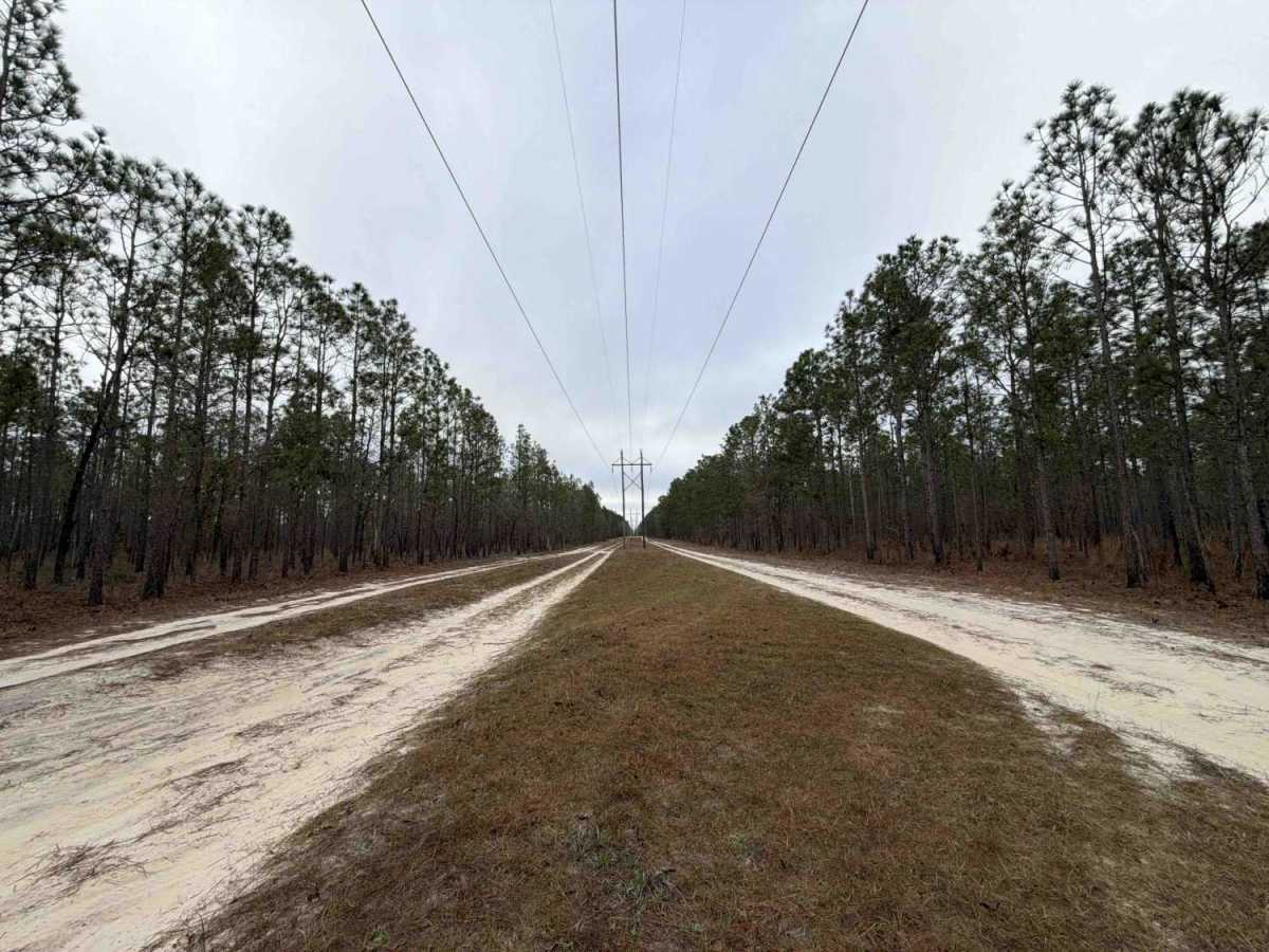 Powerline East - FS 300-C photo 6