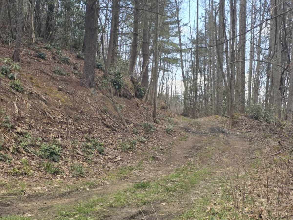 Wheeler Spur trail photo