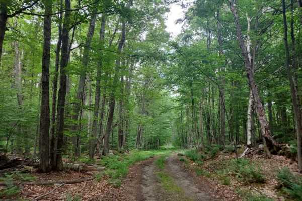 Stone Place Road