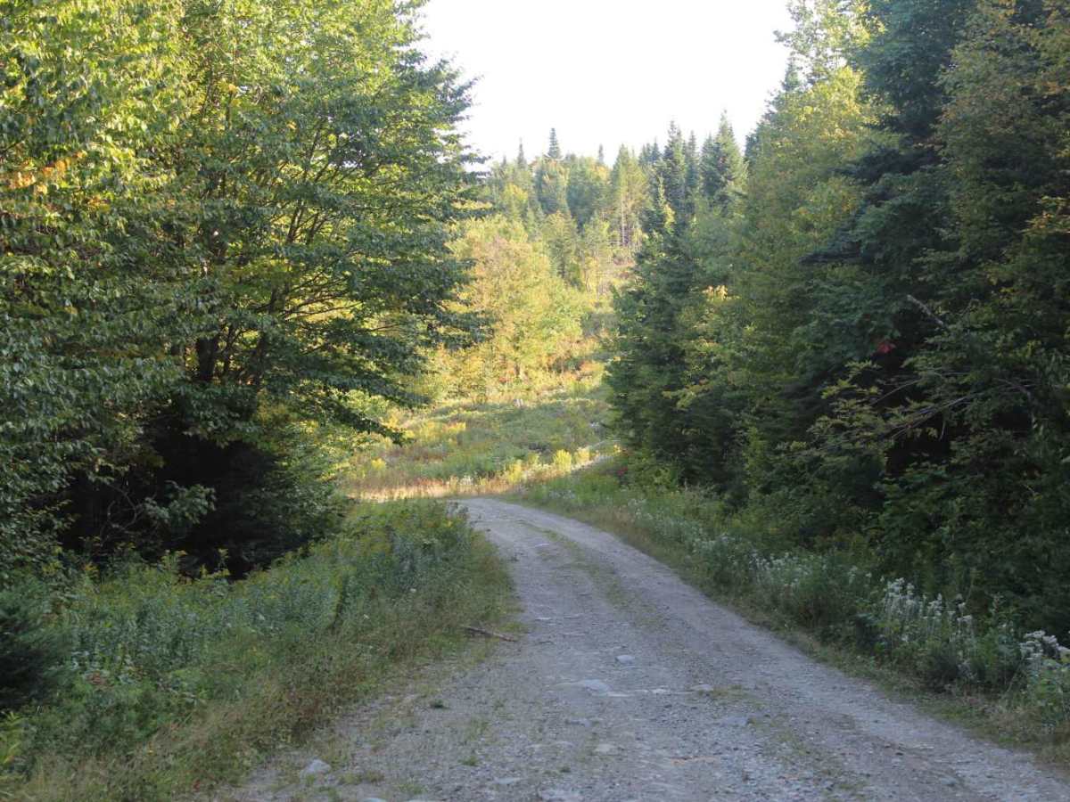 Waterfall Brook Road photo 5