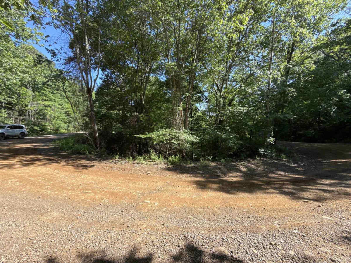 Cove Creek Crossing  photo 2