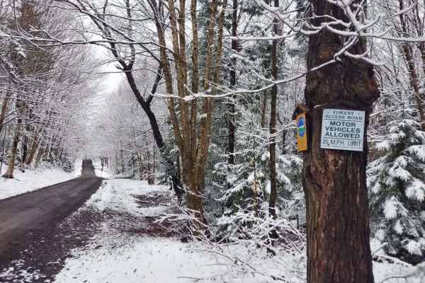 Horace Forward Truck Trail
