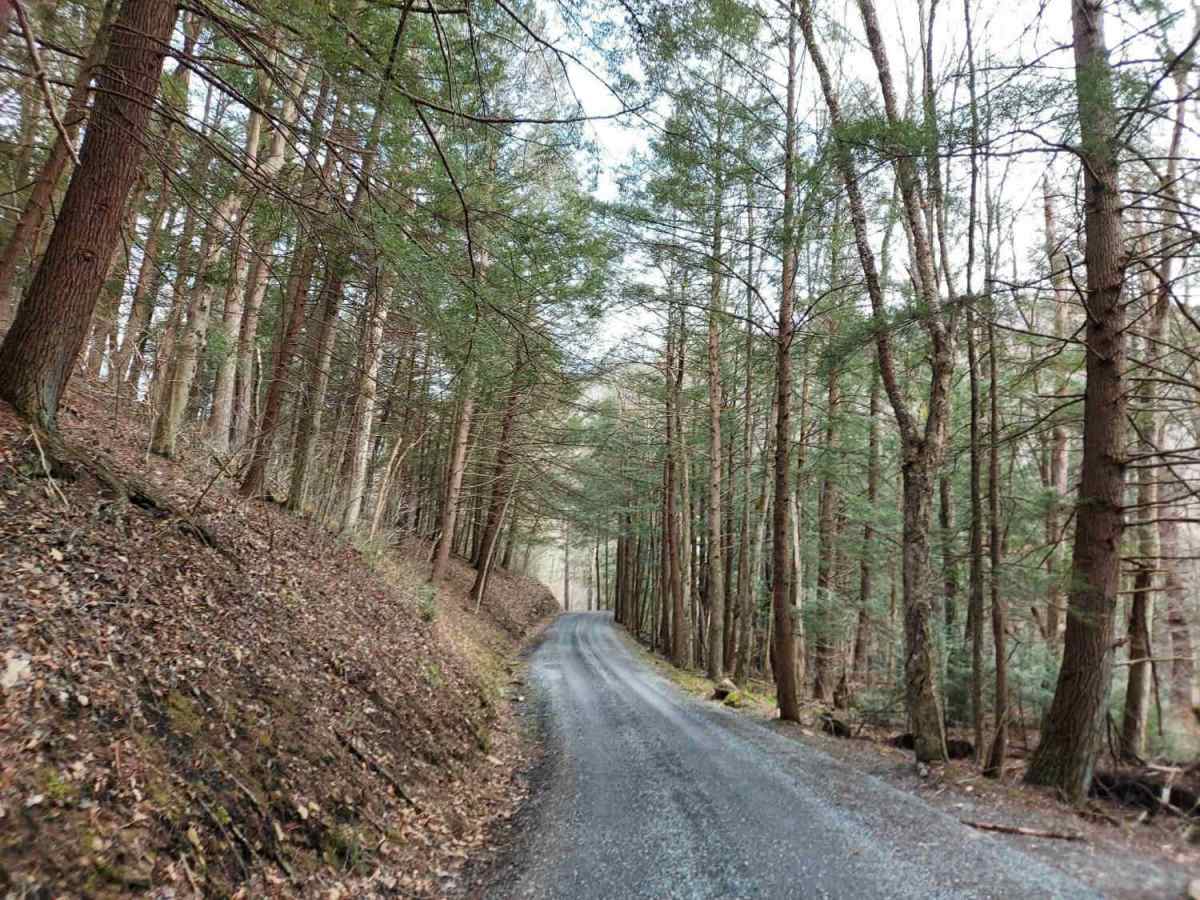 West Hicks Run Road photo 5