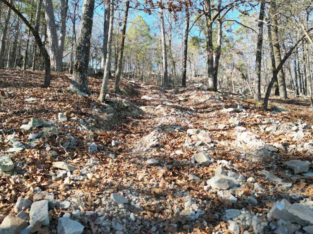 E17 Winch Hill photo 5