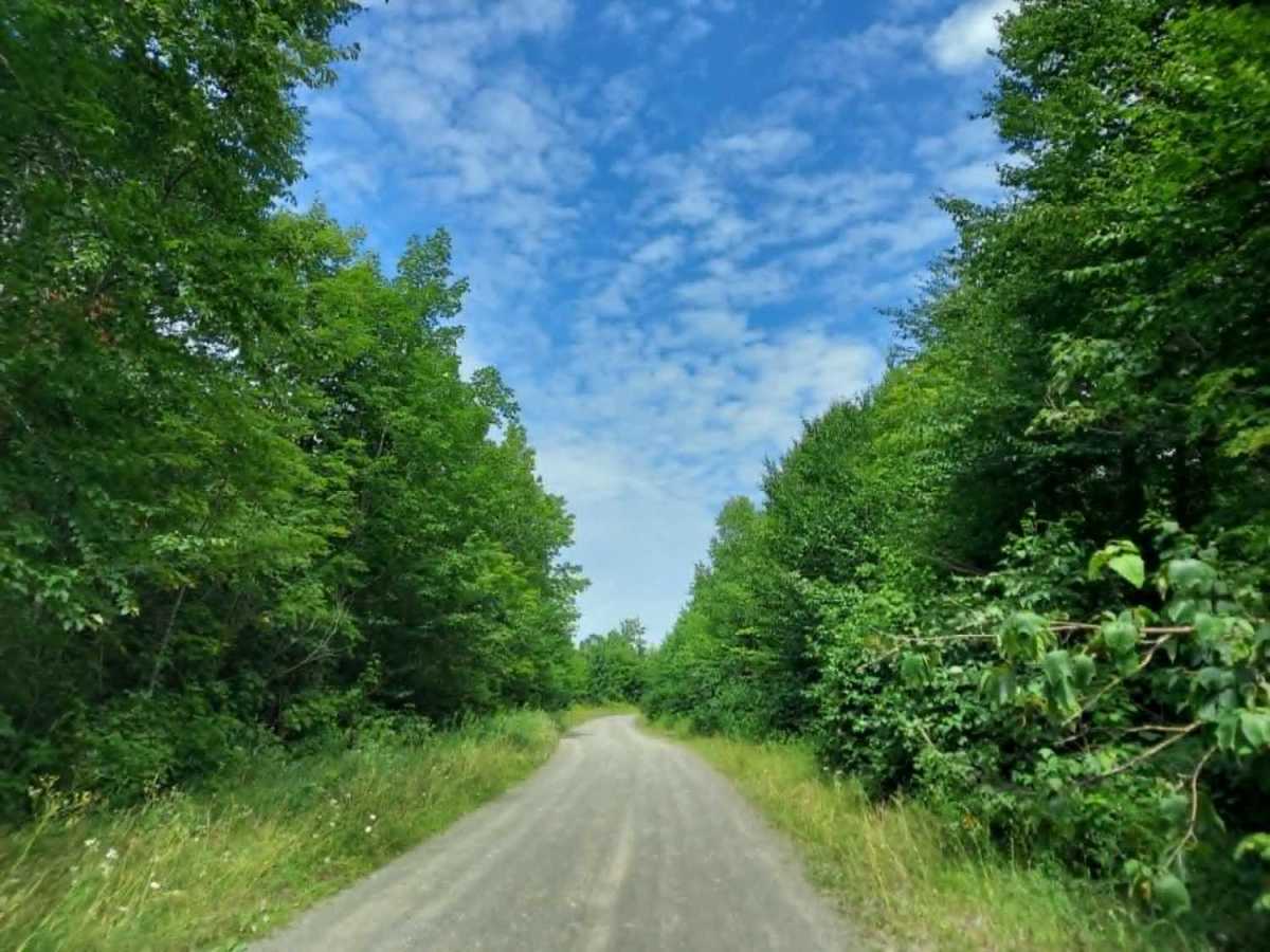 Harvey Siding Road photo 3