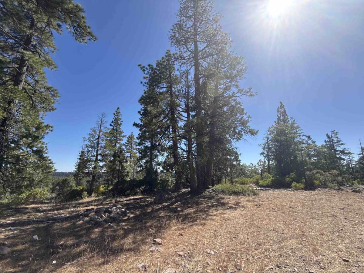 Buck Ranch - FS 6N09 trail photo