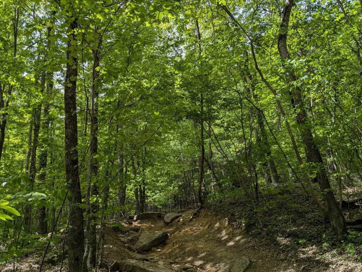 Trail 27 photo 4