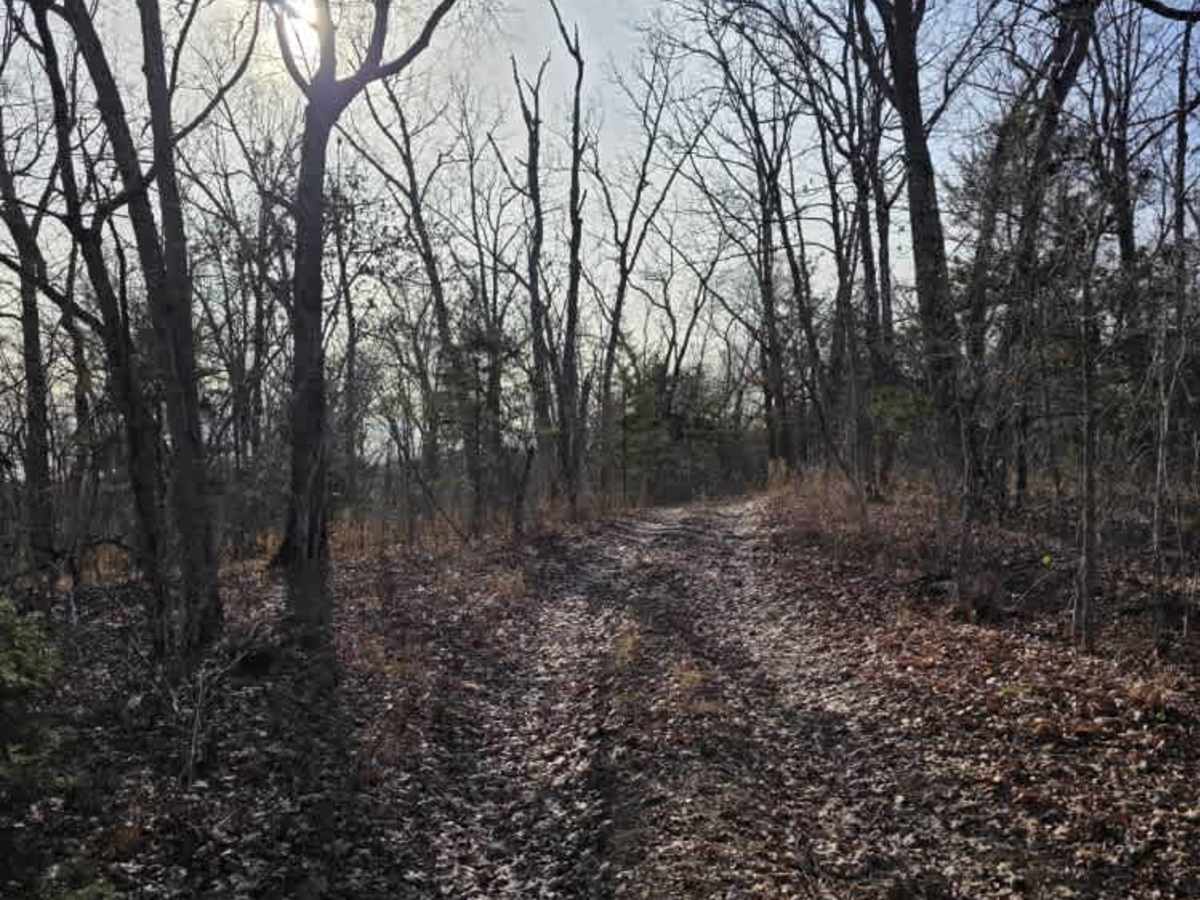 Shoestring  trail photo