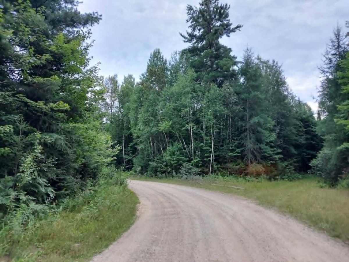 Truck Trail 3 photo 5