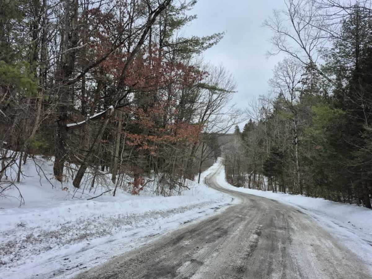 Partridge Run photo 2